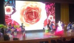 九儿舞蹈视频,激情四溢，展现东方韵律之美